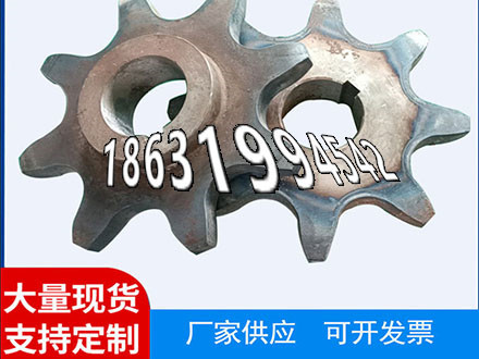 定制齿轮全新的